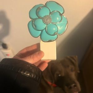 BBW *Rare* Blue Teal Flower Wallflower Plug In